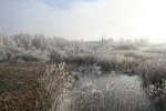 IMG_3979.jpg