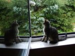 DSCF1078.jpg