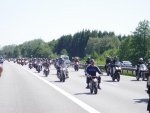 DSC01993.jpg