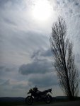 P1040571-1_bearbeitet-1.jpg