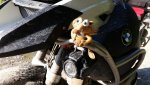 196015d1463266006-scrat-iceage-logo-saebelzahn-eichhoernchen-bmw-oder-gs-gesucht-20140913_171009.jpg