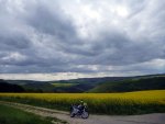 P1040780_bearbeitet-1.jpg