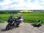 20160516_0454.jpg
