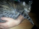 20160713_225905.jpg