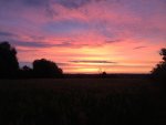 img_0278.jpg