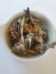 20160603_151928.jpg