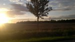 2016-08-10-178.jpg