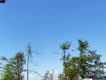 P1000717.JPG