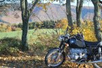 11-10-31_3661_Strich_5.jpg