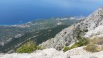 2015-09-07 11.59.16.jpg