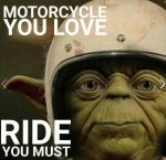 ride yoda.jpg