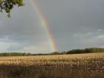 Regenbogen_02.jpg