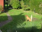 IMG_2493.jpg