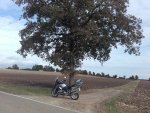 20161015_144029.jpg