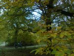Bild0268.jpg