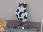 20161028_162815.jpg