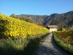 20161031_153715.jpg