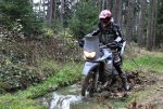 IMG_2890.jpg