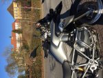 IMG_8135.jpg
