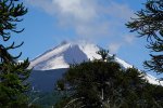 DSC09125.jpg