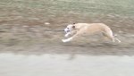 20170222_155738.jpg