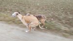20170222_155801.jpg