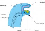 Aufbau Radialwellendichtring_.jpg