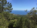 2017-05-09 12.23.30.jpg
