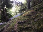 IMG_0518.jpg