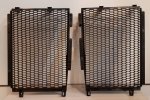 Sierra BMW R12GS 17- Radiator Grill Set.jpg