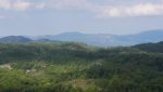 IMG_20170527_090138.jpg