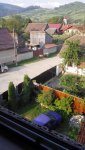 IMG_20170601_072645.jpg