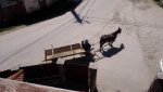 IMG-20170529-WA0003.jpg