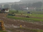 20170723_082946.jpg