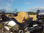 20170730_064108.jpg