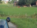 20170730_074019.jpg