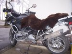 winter-2009 025.jpg