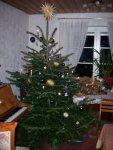 100_2174.jpg