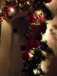 DSCF1171.jpg