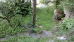 2017-05-28-973.jpg