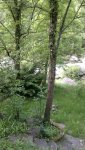 2017-05-28-974.jpg