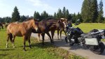 20170825_171358.jpg