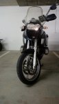 IMAG0056.jpg