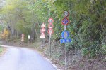 DSC_1997.jpg