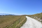 DSC_0096.JPG