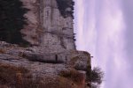 DSC_2199.jpg