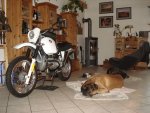 DSC01952.jpg