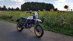 20170729_162346.jpg