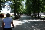 DSC06023.JPG