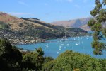 IMG_6015.jpg
